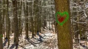 Spacer po parku im. Juliusza Słowackiego w Mrągowie - zdjęcie 27