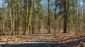 Spacer po parku im. Juliusza Słowackiego w Mrągowie - zdjęcie 28