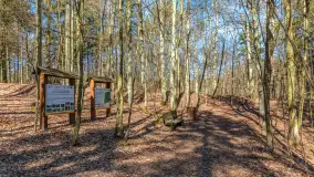 Spacer po parku im. Juliusza Słowackiego w Mrągowie - zdjęcie 43