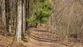 Spacer po parku im. Juliusza Słowackiego w Mrągowie - zdjęcie 42