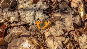 Spacer po parku im. Juliusza Słowackiego w Mrągowie - zdjęcie 8