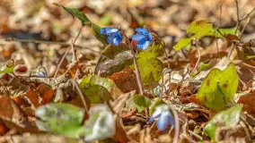 Spacer po parku im. Juliusza Słowackiego w Mrągowie - zdjęcie 17