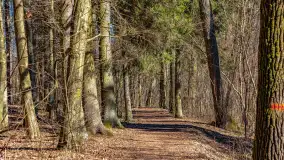 Spacer po parku im. Juliusza Słowackiego w Mrągowie - zdjęcie 35