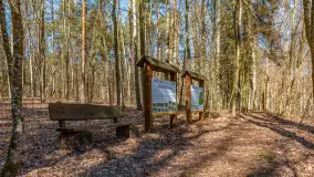 Spacer po parku im. Juliusza Słowackiego w Mrągowie - zdjęcie 16