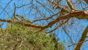 Spacer po parku im. Juliusza Słowackiego w Mrągowie - zdjęcie 12