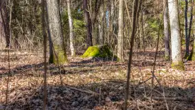 Spacer po parku im. Juliusza Słowackiego w Mrągowie - zdjęcie 38