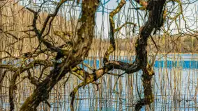 Spacer po parku im. Juliusza Słowackiego w Mrągowie - zdjęcie 3