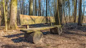 Spacer po parku im. Juliusza Słowackiego w Mrągowie - zdjęcie 24