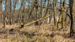 Spacer po parku im. Juliusza Słowackiego w Mrągowie - zdjęcie 32