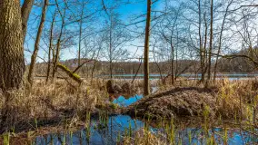 Spacer po parku im. Juliusza Słowackiego w Mrągowie - zdjęcie 9