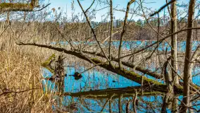 Spacer po parku im. Juliusza Słowackiego w Mrągowie - zdjęcie 25