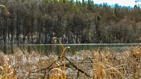 Spacer po parku im. Juliusza Słowackiego w Mrągowie - zdjęcie 10