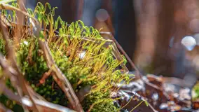 Spacer po parku im. Juliusza Słowackiego w Mrągowie - zdjęcie 45