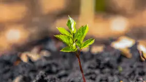 Spacer po parku im. Juliusza Słowackiego w Mrągowie - zdjęcie 34