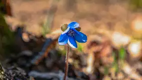 Spacer po parku im. Juliusza Słowackiego w Mrągowie - zdjęcie 47