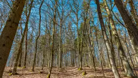 Spacer po parku im. Juliusza Słowackiego w Mrągowie - zdjęcie 14