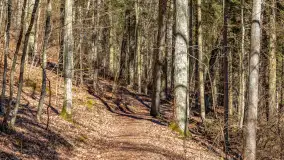 Spacer po parku im. Juliusza Słowackiego w Mrągowie - zdjęcie 19