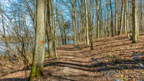 Spacer po parku im. Juliusza Słowackiego w Mrągowie - zdjęcie 18