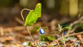 Spacer po parku im. Juliusza Słowackiego w Mrągowie - zdjęcie 44
