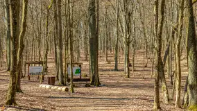 Spacer po parku im. Juliusza Słowackiego w Mrągowie - zdjęcie 46