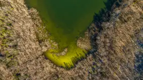 Spacer po parku im. Juliusza Słowackiego w Mrągowie - zdjęcie 41