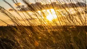 Zachód słońca nad rzeką Guber, kwiecień 2023 r. - zdjęcie 2