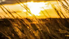 Zachód słońca nad rzeką Guber, kwiecień 2023 r. - zdjęcie 62