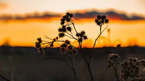 Zachód słońca nad rzeką Guber, kwiecień 2023 r. - zdjęcie 36