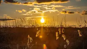 Zachód słońca nad rzeką Guber, kwiecień 2023 r. - zdjęcie 51