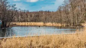 Węgorapa i kanał Węgorzewski pod koniec marca 2023 r. - zdjęcie 13