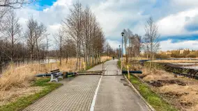 Węgorapa i kanał Węgorzewski pod koniec marca 2023 r. - zdjęcie 27