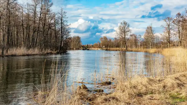Węgorapa i kanał Węgorzewski pod koniec marca 2023 r. - zdjęcie 1