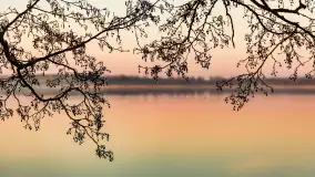 Wschód słońca nad jeziorem Dejguny, kwiecień 2023 r. - zdjęcie 55