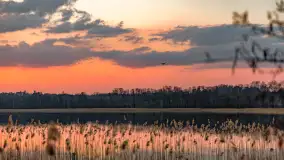 Zachód słońca nad jeziorem Dejguny, Lisi Ogon, kwiecień 2023 r. - zdjęcie 18