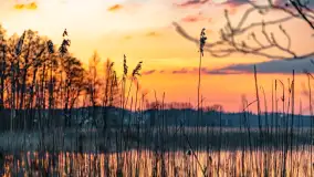 Zachód słońca nad jeziorem Dejguny, Lisi Ogon, kwiecień 2023 r. - zdjęcie 38