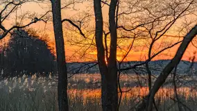 Zachód słońca nad jeziorem Dejguny, Lisi Ogon, kwiecień 2023 r. - zdjęcie 6