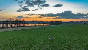 Zachód słońca nad jeziorem Dejguny, Lisi Ogon, kwiecień 2023 r. - zdjęcie 14