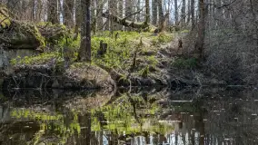 Kanał Mazurski, wiele ukrytych perełek - zdjęcie 47