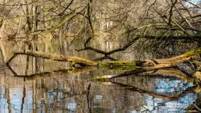 Kanał Mazurski, wiele ukrytych perełek - zdjęcie 59