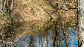 Kanał Mazurski, wiele ukrytych perełek - zdjęcie 63