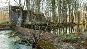 Kanał Mazurski, wiele ukrytych perełek - zdjęcie 87