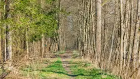 Kanał Mazurski, wiele ukrytych perełek - zdjęcie 101