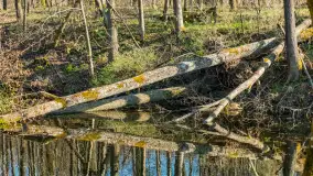 Kanał Mazurski, wiele ukrytych perełek - zdjęcie 102