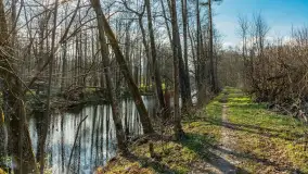 Kanał Mazurski, wiele ukrytych perełek - zdjęcie 103