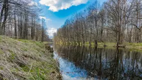 Wiosna już jest, taka prawdziwa, zielona i ciepła - zdjęcie 8