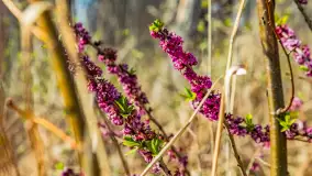 Wiosna już jest, taka prawdziwa, zielona i ciepła - zdjęcie 14