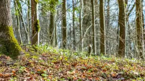 Wiosna już jest, taka prawdziwa, zielona i ciepła - zdjęcie 43