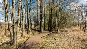 Plaża i ścieżka edukacyjna w Czernikach, jezioro Mój - zdjęcie 47