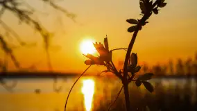 Zachód słońca w Pierkunowie, jezioro Kisajno, kwiecień 2023 r. - zdjęcie 23