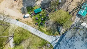 Przy Wilczym Szańcu posadzono 5000 dębów - zdjęcie 34